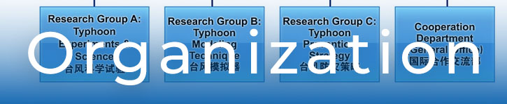 about-organization